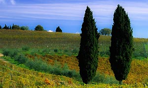 Agriturismo nel Chianti