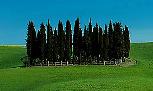 Agriturismo nel Chianti